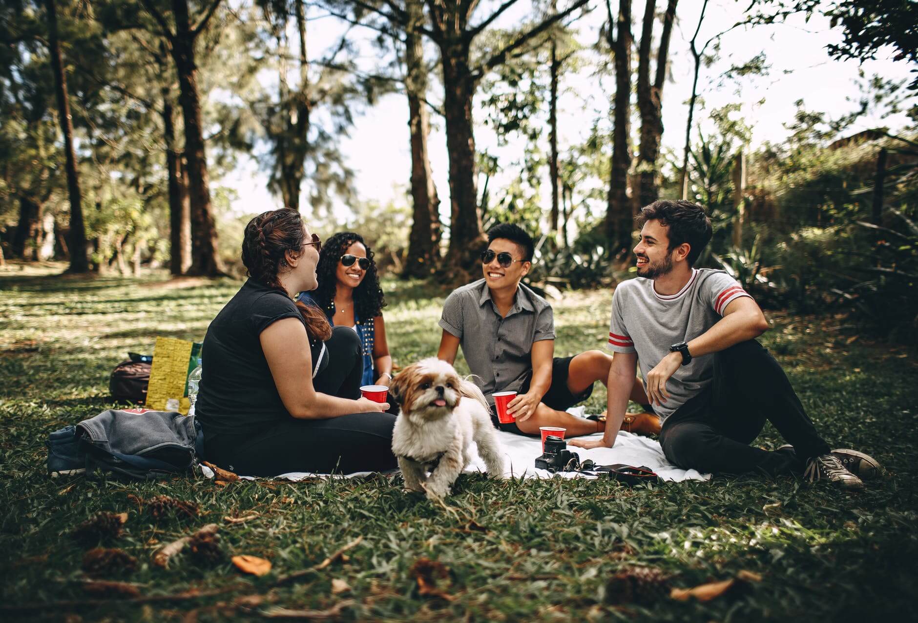 picnicpicnic