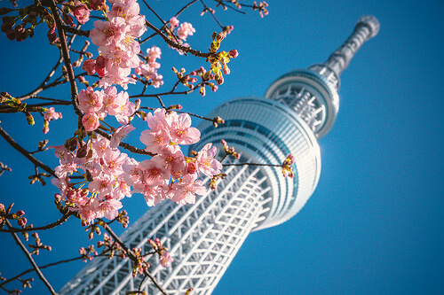 anniversaryday-gw-japan1
